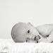 newborn photographed in Belleville, IL home by Dinan Photo