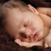 newborn baby girl portrait by Dinan Photo, located in Belleville IL