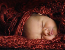 Newborn-Baby-Photographer-10012