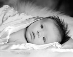 Newborn-Baby-Photographer-10026