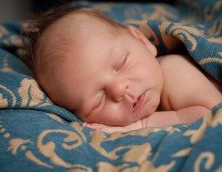 Newborn-Baby-Photographer-10035