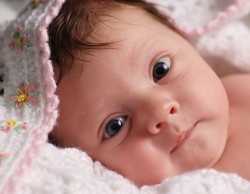 Newborn-Baby-Photographer-10049