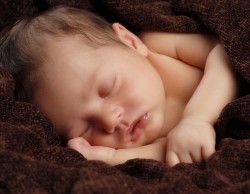 Newborn-Baby-Photographer-10051