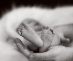 Newborn-Baby-Photographer-10065