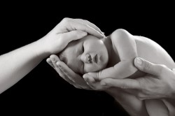 Newborn-Baby-Photographer-10084