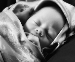 Newborn-Baby-Photographer-10105 
