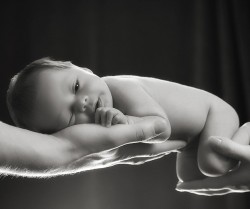 Newborn-Baby-Photographer-10106 